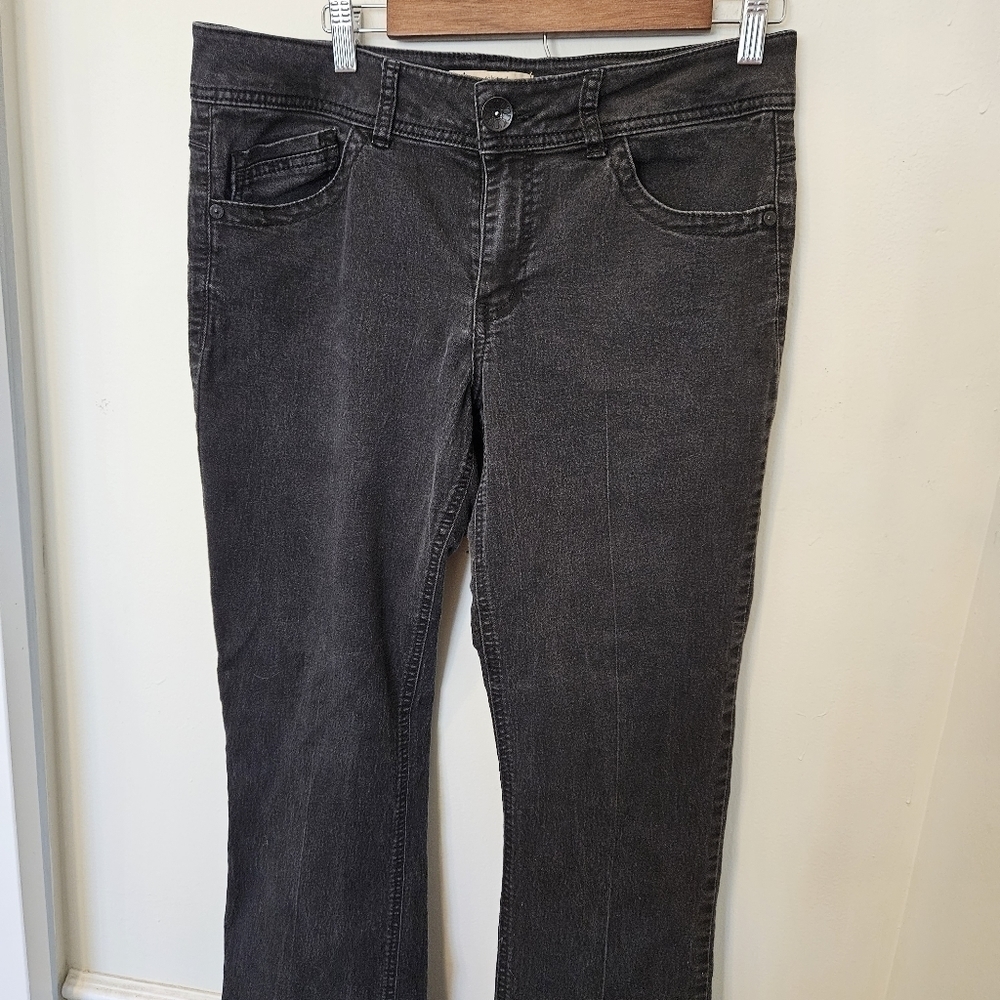 DEMOCRACY Jean 14